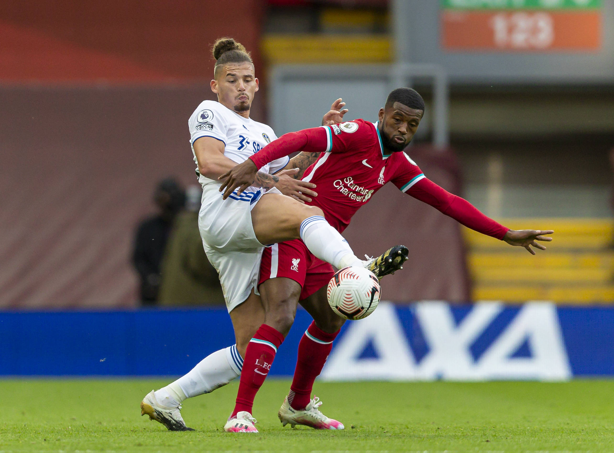 新星大卫 新星大卫