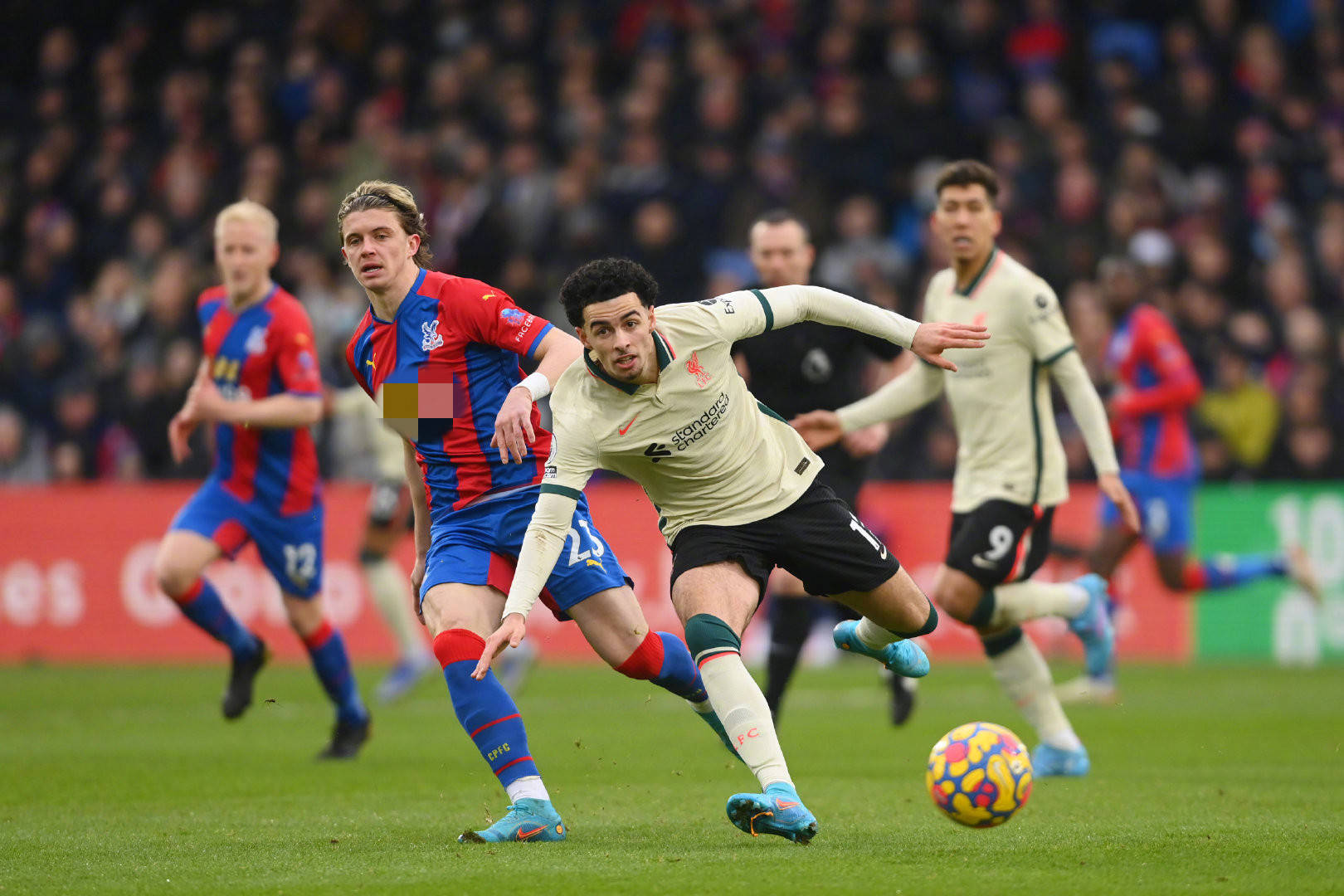 文章中获取 文章中获取